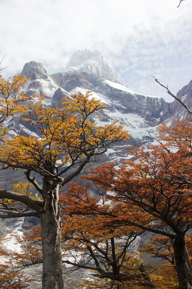 Torres del Paine