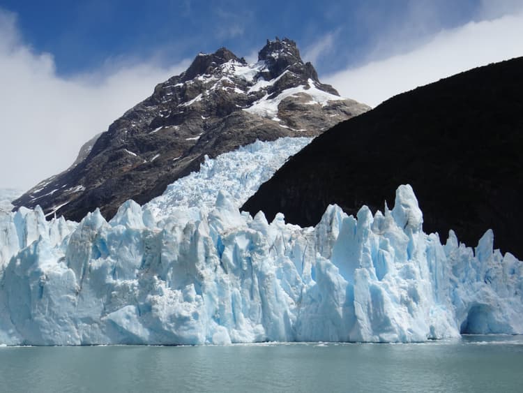 Calafate