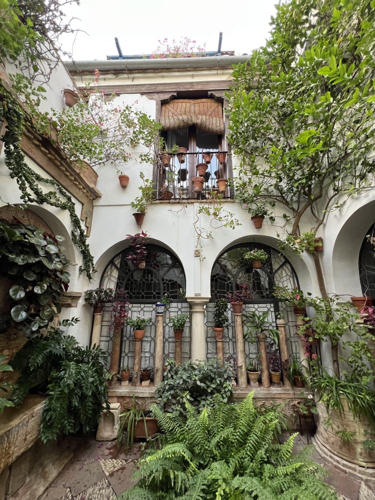 Córdoba