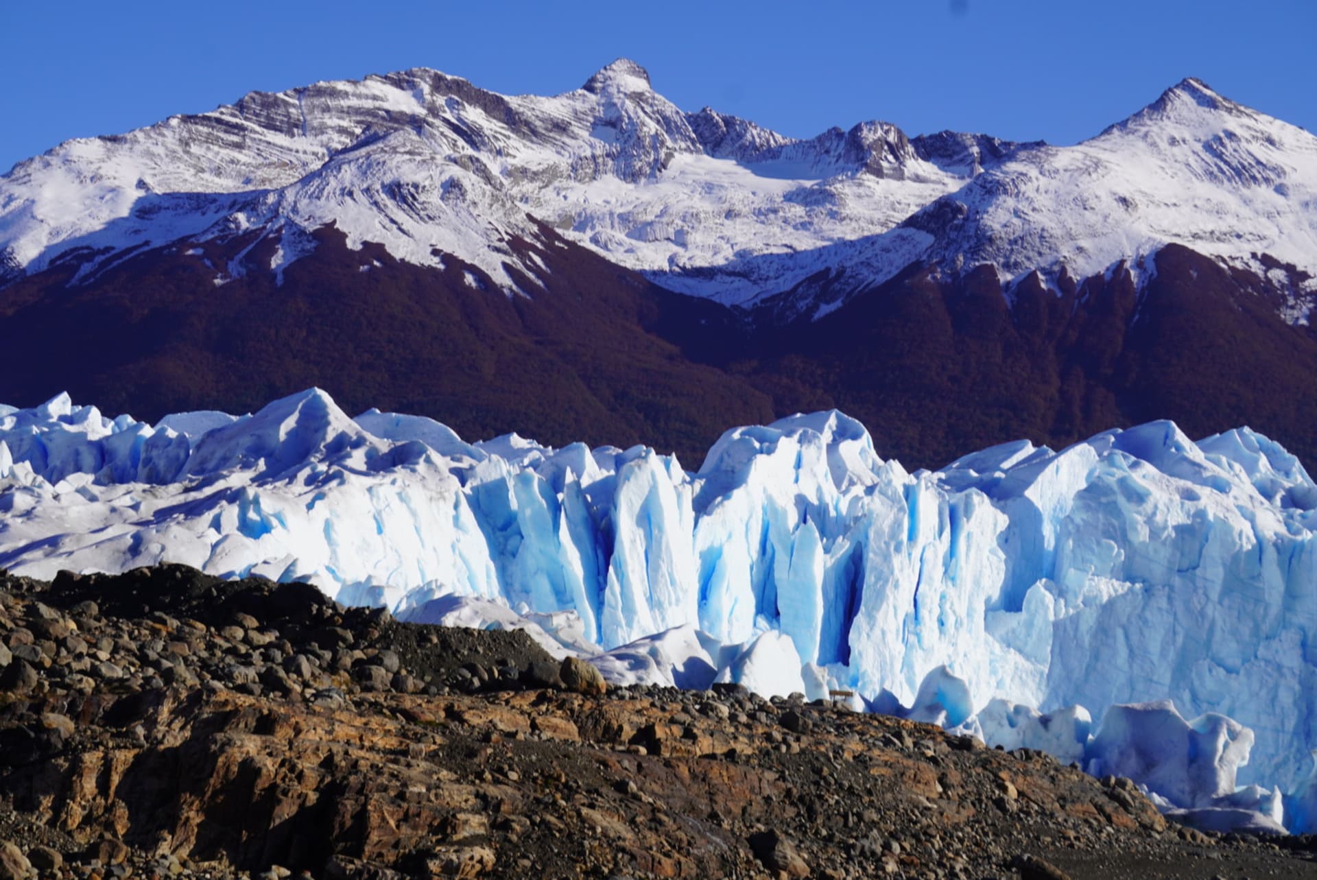 Guía por la Patagonia Austral
