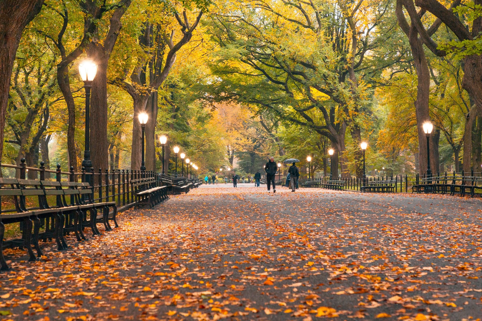 Guía de Nueva York en otoño