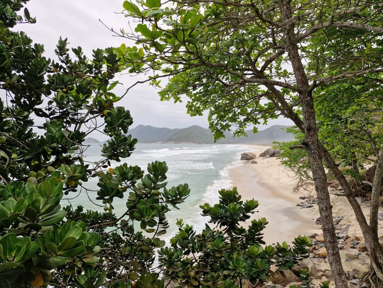 Tayrona