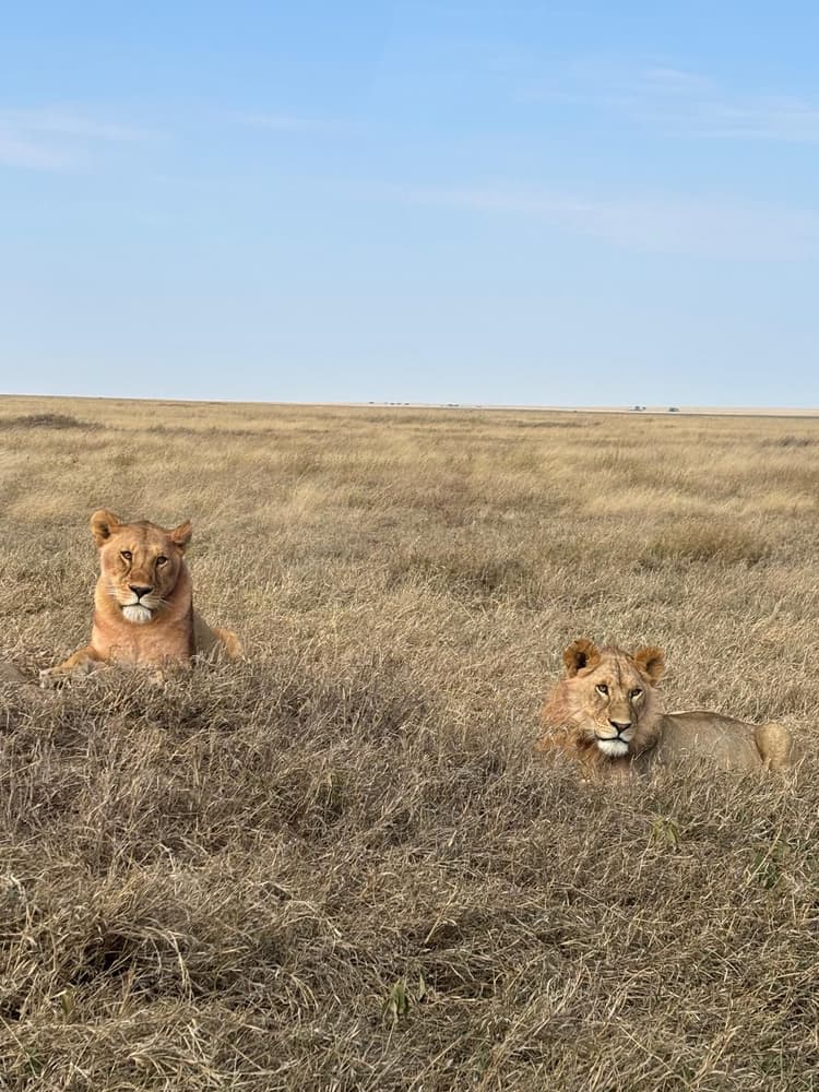 Tanzania